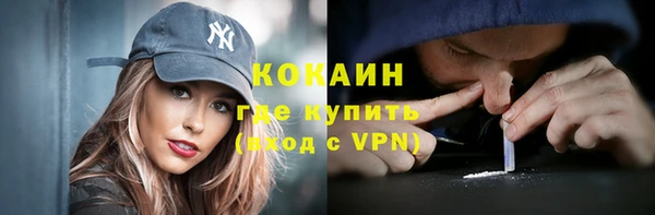 винт Абаза
