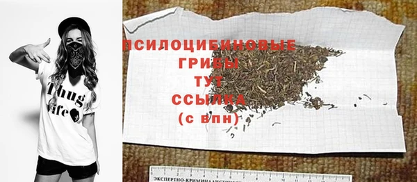 винт Абаза