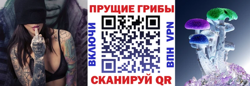 Псилоцибиновые грибы Cubensis  Абаза 